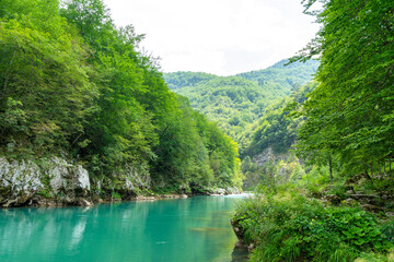 Fototapeta na wymiar Mountain river Tara and canyon, Montenegro, natural landscape. Clear blue water