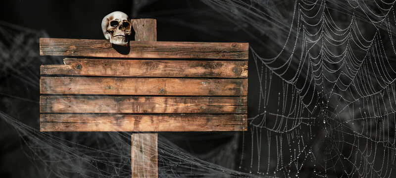 Mystery Halloween holiday party card background - Old blank weathered wooden sign with scary skull and spider webs in the dark night