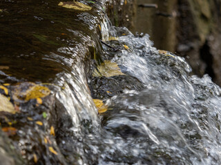 Waterfall with yellow leaves