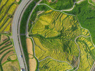 Obraz premium 白米千枚田