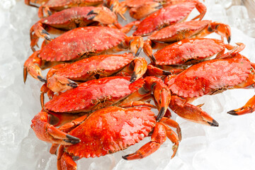 Cooked Crab