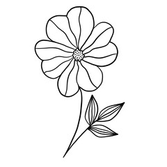 Wildflower line doodle isolated 