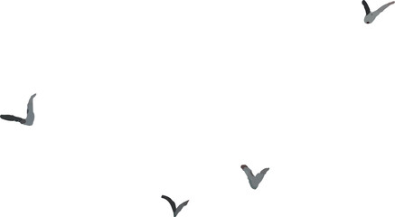 black silhouette of watercolor birds
