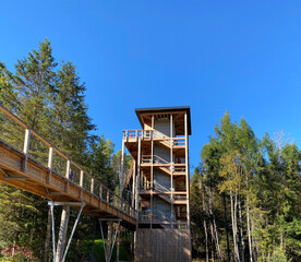 Panoramic tower in the forest at fall. Footbridge and observation building, unique view of the mountains. High platform, summit path, wooden bridge in the park.