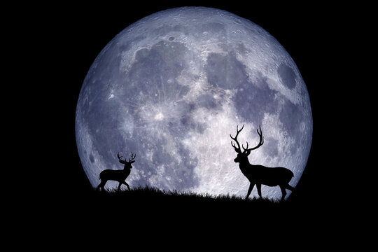 silhouette of a deer on the moon