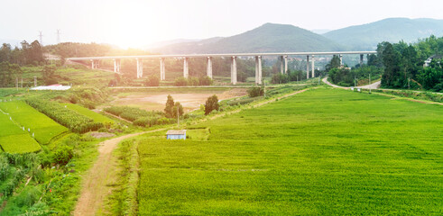 Fototapeta na wymiar Viaduct bridge over green fields