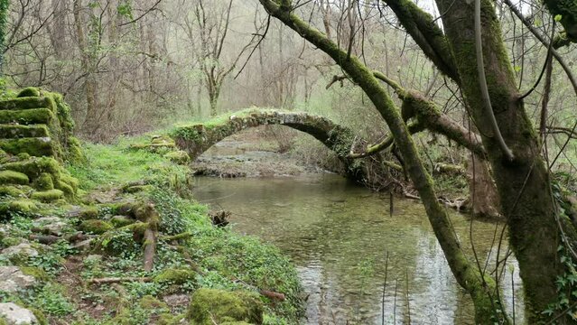 Old arch bridge in the forest, made of stone, covered in grass and green moss. Stream of water flowing under troll bridge from a fairy tale in the middle of beautiful park with bare trees and lake.
