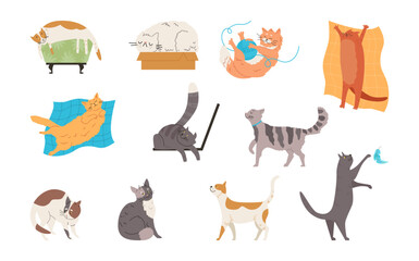 Set of cute funny cats with different emotions flat style