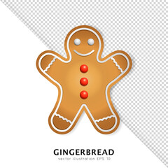 Traditional Xmas cookie - smiling gingerbread man. Cartoon holiday biscuit isolated on white and transparent background. Colorful vector template of Christmas food