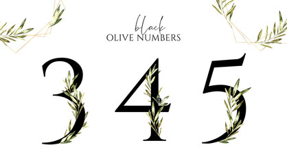 Watercolor olive numbers 3,4,5 illustration. Greenery leaves,branch, black letters, black numbers, botanical wedding floral table number, milestone cards, months,days, year diy greeting card print