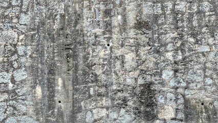 Obraz premium wood texture