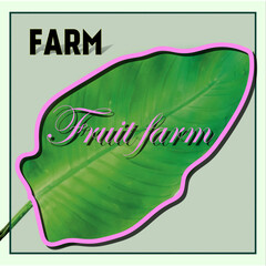 farm
