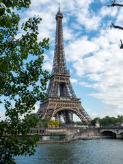 Fototapeta na wymiar Eiffel tower across Seine River through trees