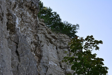 mountain wall with green bushes on the top in the shadow