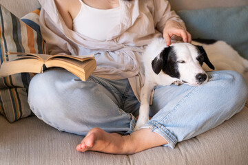 Dog sleeping napping while the owner reading book. Blue jeans woman sitting with her legs crossed on beige sofa enjoying novel. Relaxed weekend mood at home with pet. Beige light living room daytime