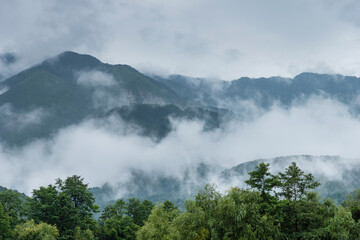 Landscape of mountain covered with fog