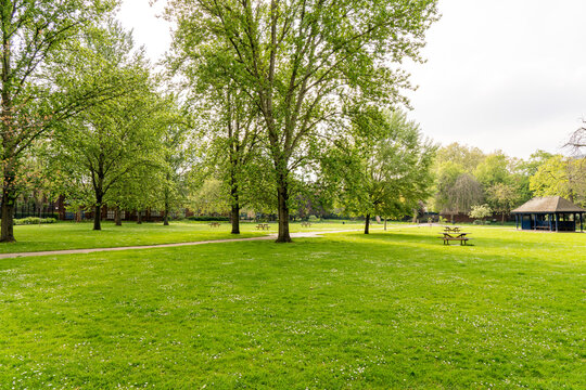 Spring city park with trees with large courtyards and green lawns. High quality photo
