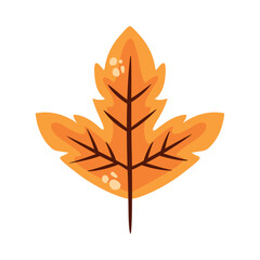 Obraz premium autumn leaf plant foliage