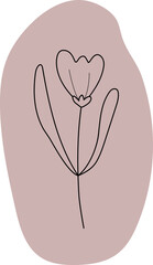 Flower Drawing Doodle Abstract Minimal