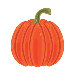 pumpkin vegetable autumn season