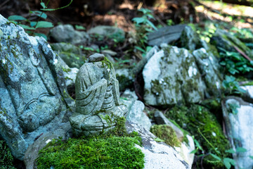 福井県勝山市　平泉寺白山神社（苔寺）