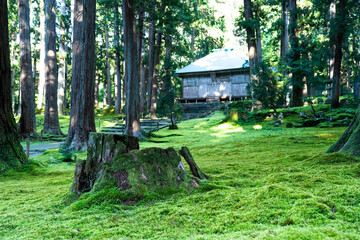 福井県勝山市　平泉寺白山神社（苔寺）