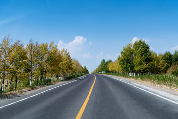 Fototapeta premium Curved asphalt road surrounded with trees on a sunny day