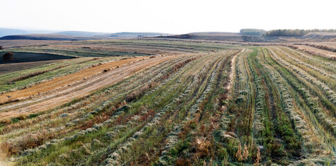 The Inner Mongolia prairie in early autumn day