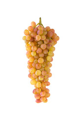Ripe yellow grapes branch isolated on white background