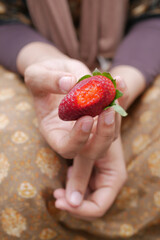 women hand eating Ripe Red Strawberries, 