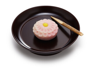 Nerikiri is an artistic Japanese sweets, often served during Japanese tea ceremony.
The ingredient is a mixture of white bean paste and glutinous rice flour, colored and shaped into various shapes.