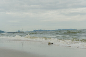 Atmosphere at Bang Saen Beach Tourists come to relax, ride bicycles, see coconut trees all over the beach, Bang Saen Beach, Chonburi Province, Thailand.