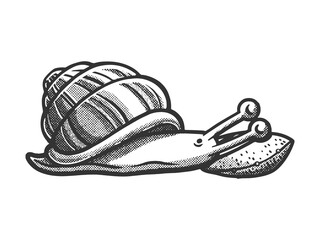 cartoon snail sleeping on pillow sketch engraving vector illustration. Scratch board imitation. Black and white hand drawn image. © Oleksandr Pokusai