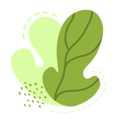 Obraz premium Abstract leaves. Isolated. Monstera leaves. PNG.