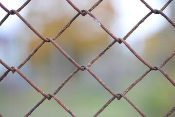 Fototapeta premium background of rusty iron mesh square wire on the background of yellow autumn tree, texture, yellow-green color gradient, autumn cloudy weather, close-up city silhouette, soviet ukrainian grid