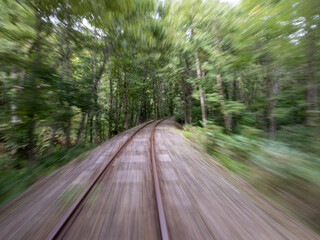 Fototapeta premium path in the forest