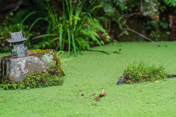 Shinto shrine is on the mini lake.