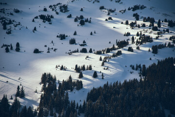 Winter Colorado 1