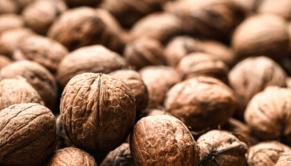 Beautiful close-up of a walnut