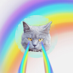 The cat's head emits a rainbow laser from its eyes. Modern art collage, surrealism. memphis style...