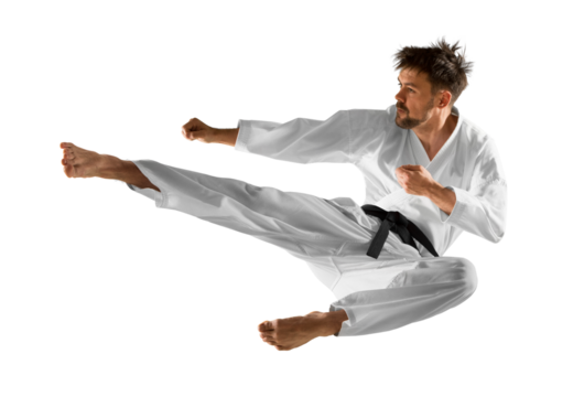 Martial arts masters. Isolated background