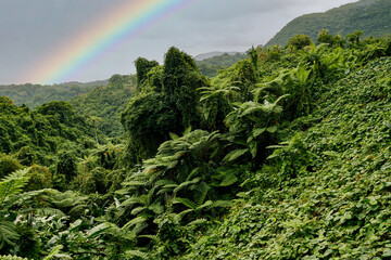 Jungle and mountains as seen from the dirt road across the Southern part of Pentecost Island, on the way to Bunlap, an isolated kastom (custom) village in the South-East of Pentecost Island, Vanuatu - obrazy, fototapety, plakaty