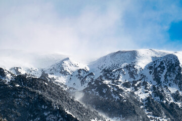 Winter mountains with snow, mist, animals, vulture, dog, ski, trees.