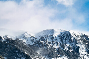 Naklejka na ściany i meble Winter mountains with snow, mist, animals, vulture, dog, ski, trees.