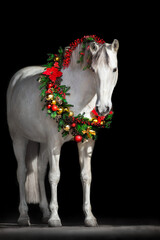 Horse in New year decor - 535869313