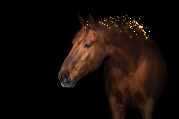 Horse in New year decor - obrazy, fototapety, plakaty