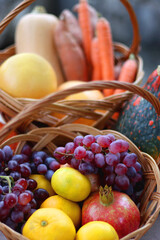 Hokkaido pumpkins and vintage baskets filled with various autumnal produce in the garden. Selective focus.
