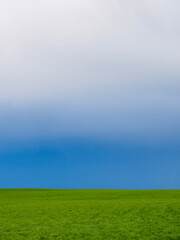 Fototapeta na wymiar green field and blue sky after storm