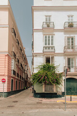 Cadiz Streets 1