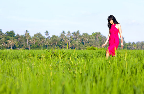 Asian woman in sarong walking in race paddies, Ubud, Bali, Indonesia.